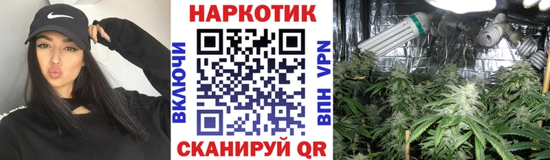 Где купить наркотики Коркино Бошки Шишки  мега зеркало  ГАШИШ  Меф  COCAIN 