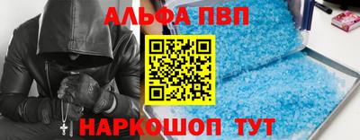 стаф Берёзовский