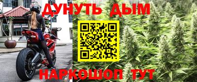 эйфоретик Дубна