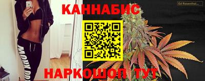 сатива Беслан