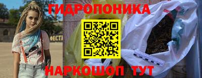 стаф Берёзовский