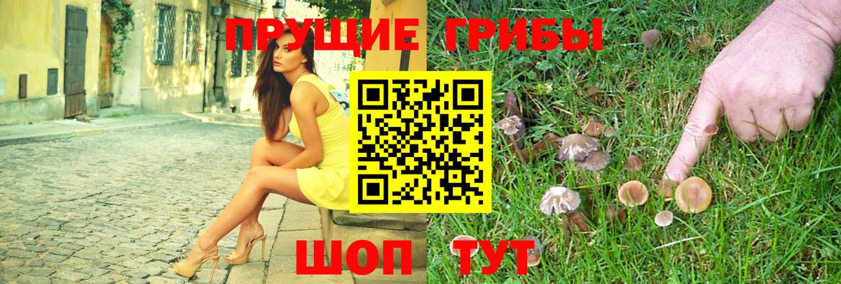 Галлюциногенные грибы GOLDEN TEACHER Коркино