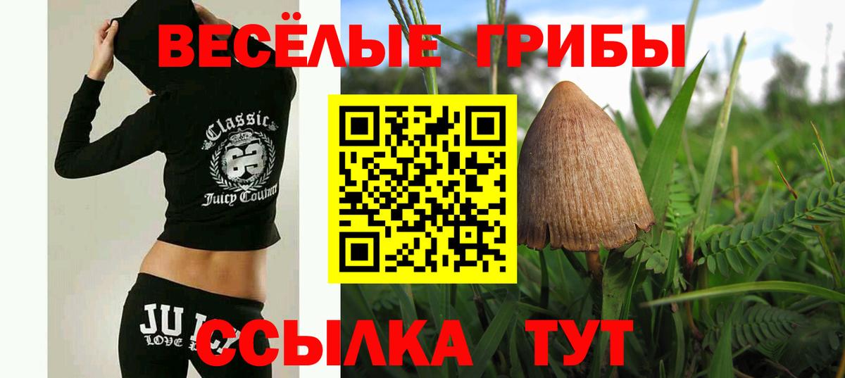 Псилоцибиновые грибы MAGIC MUSHROOMS Коркино