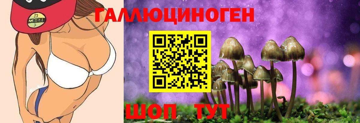 Коркино  Галлюциногенные грибы мицелий  Вход с VPN 